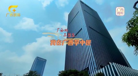 【广西卫视】广西村 东盟客——我在广西学中医