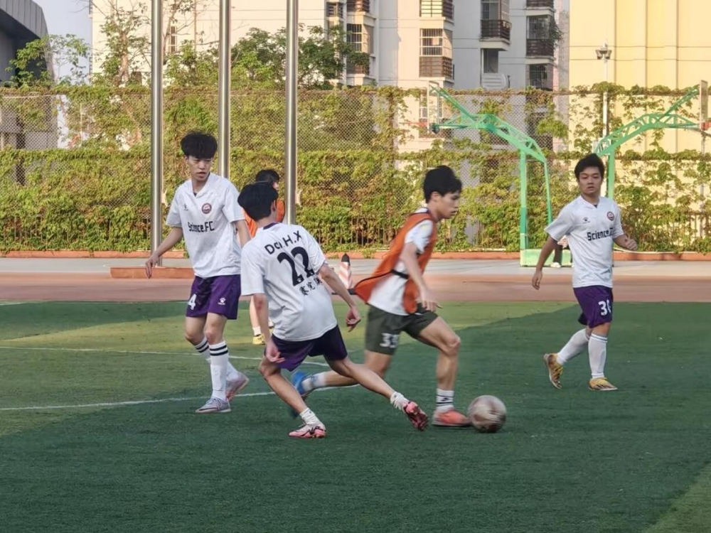 图片5 图片5