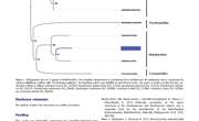 2019-The complete mitochondrial genome of black sea cucumber Holothuria leucospilota（Aspidochirotida holothuriidae）