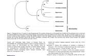 2020-The complete mitochondrial genome of Chicoreus asianus （Neogastropoda ：Muricidae）from Beibu Bay