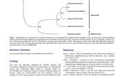 2020-The complete mitochondrial genome of Phascolosoma similis （Sipuncula，Phascolosomatidae） from Beibu Bay