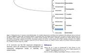 2020-The first complete mitochondrial genome of MAMMILLA from Mammilla mammata （Littorinimorpha ：Naticidae）