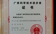 广西科技进步一等奖（林江教授，2011年）