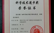 广西科技进步一等奖（林江教授，2008年）