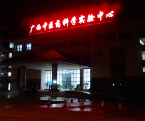 中心夜景