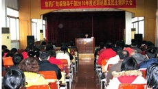 制药厂召开处级领导干部2010年度述职述廉及民主测评大会