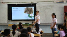 浓浓药香  醇情端午——医药会展中心为南师附小学生作专题讲座