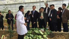 我校药学院赵立春常务副院长带队参加2017年全国中医药高等教育学会中药教育研究会年会