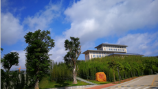 大手拉小手 感受中医药魅力——南宁市民主路小学师生来我校参观实践