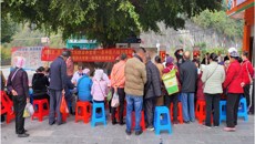 【学党史办实事】“广西名中医八桂行”——一附院梁健芬名中医团队走进西林县中医医院之<四></四>