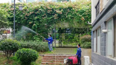 【学党史办实事】后勤处党支部组织开展病虫媒有害生物专项防治