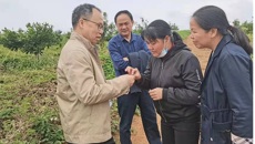 广西中医药大学药学院黄荣韶教授应邀到崇左市调研指导中药材产业