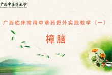 中药1-5 樟脑