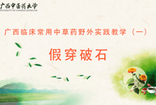中药1-27 假穿破