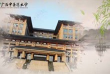 壮药学野外实践教学（一）