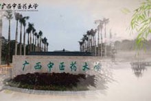 壮药学野外实践教学（二）