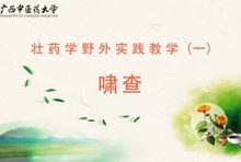 壮药1-18啸查