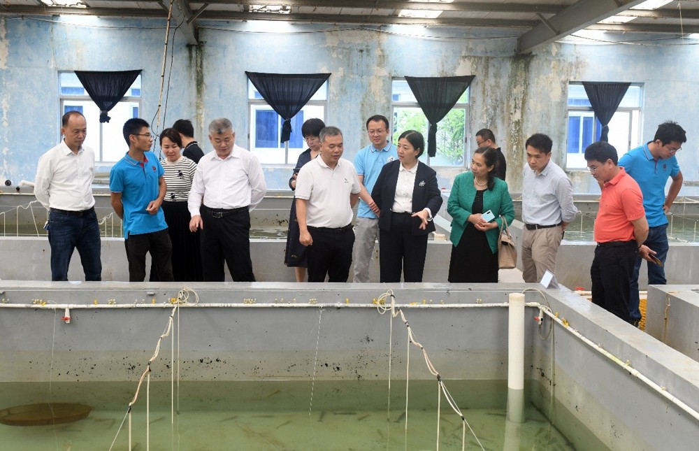 考察国家863计划项目海水养殖种子工程南方基地 考察国家863计划项目海水养殖种子工程南方基地