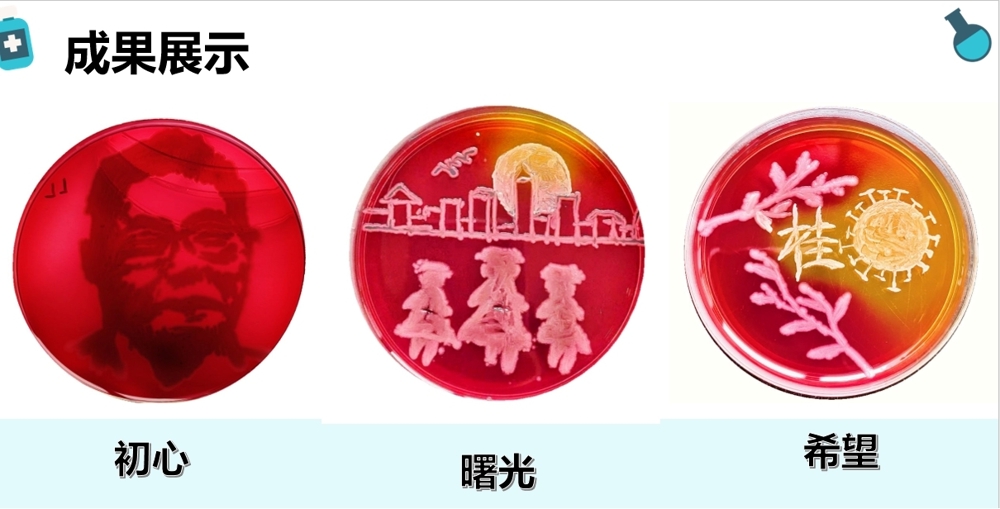 参赛作品 参赛作品