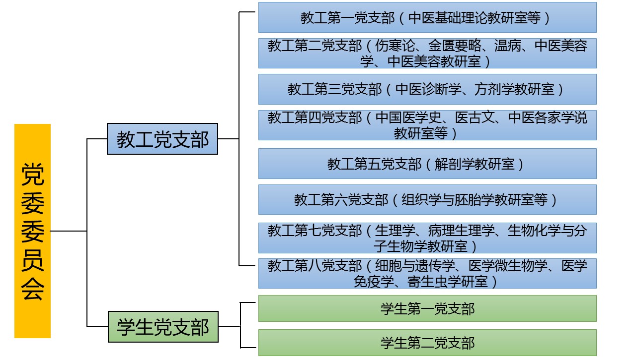 (含科室2)基础医学院党委组织机构