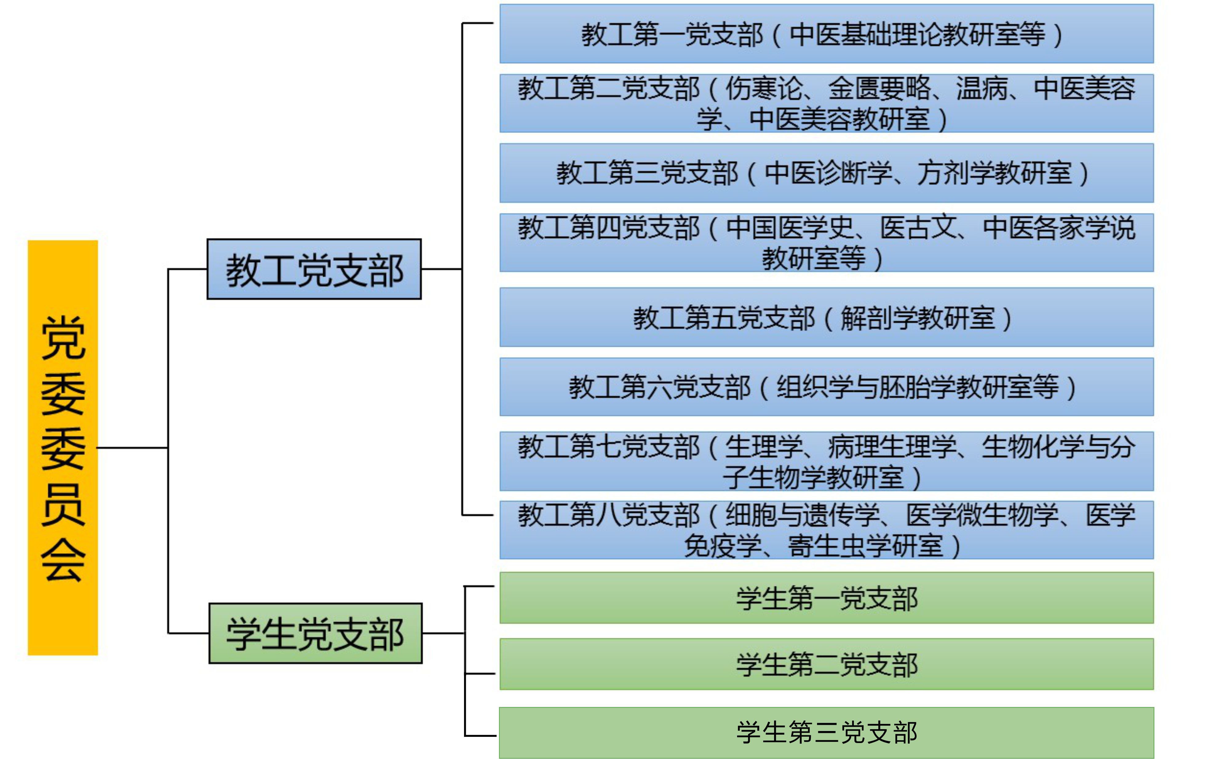 组织机构图20260309