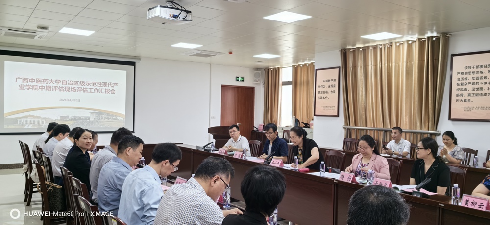 中期评估现场评估工作汇报 中期评估现场评估工作汇报