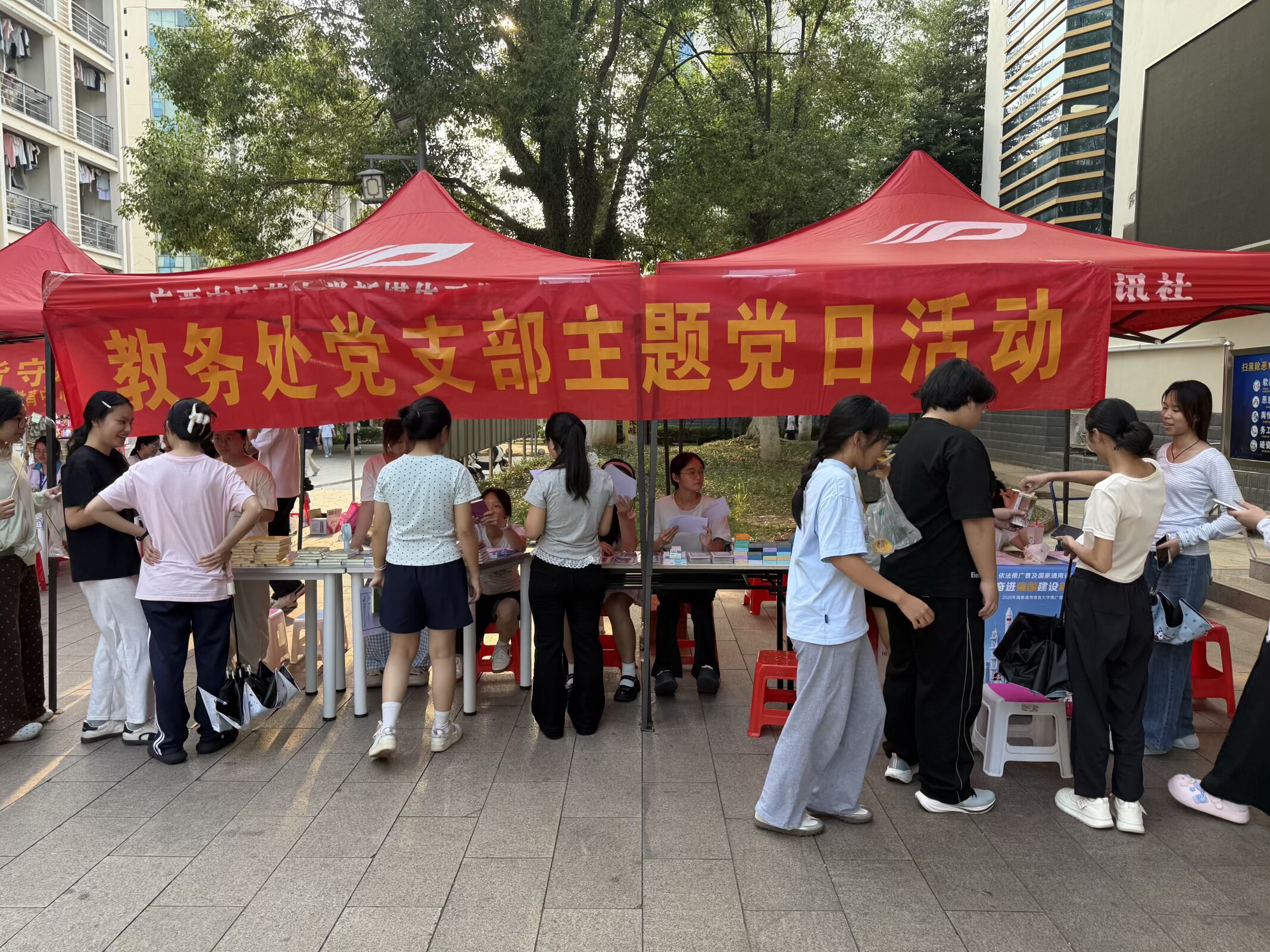 照片1