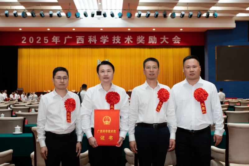 添加图片描述