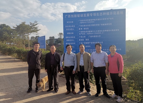 中药资源研究团队到邕宁区那楼镇调研中药材种植情况.jpg