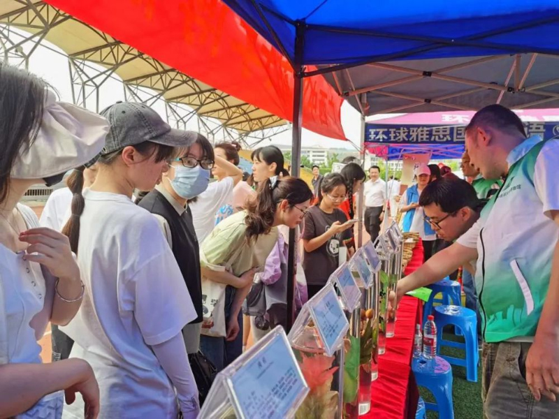 “壮族三月三”文化艺术节上的壮药展示。广西中医药大学供图