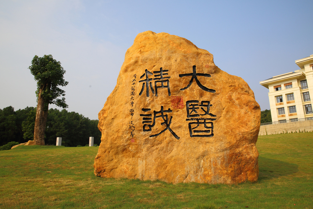 14.大医精诚