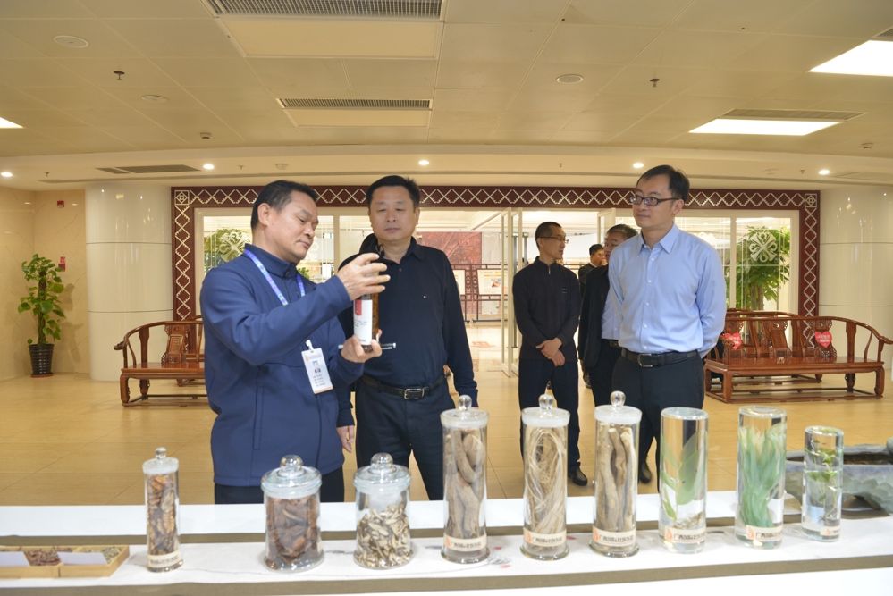参观壮瑶药材 参观壮瑶药材