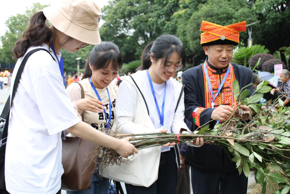 指导博士、硕士研究生辨识壮瑶草药 指导博士、硕士研究生辨识壮瑶草药