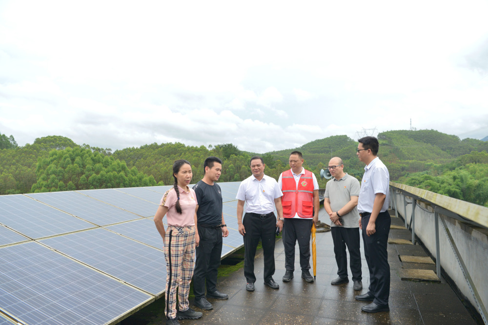 实地调研良安村光伏基地 实地调研良安村光伏基地