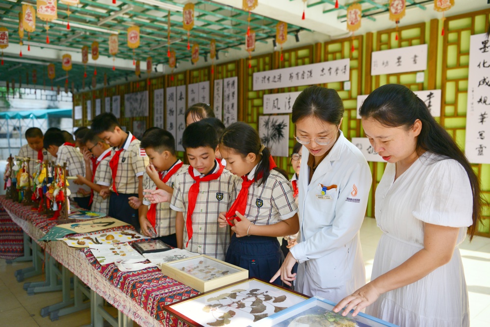 参观学校2024年暑假中医药文化德育作业 参观学校2024年暑假中医药文化德育作业