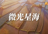 微光星海