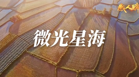 微光星海