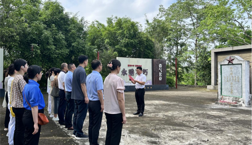 缅怀革命先烈、传承红色精神——记第一附属医院内科党总支到新江镇汉林村开展主题党日活动