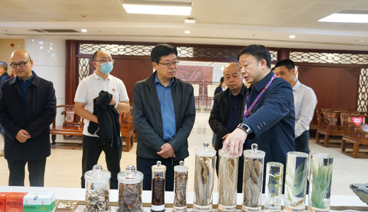 哈尔滨音乐学院、黑龙江省民宗委来附属国际壮医医院参观调研