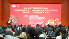广西民族医药协会药膳专业委员会、治未病专业委员会学术年会暨中医、壮瑶医药膳学习班在附属国际壮医医院顺利举办
