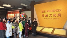 附属国际壮医医院：党建赋能 讲好民族医药故事