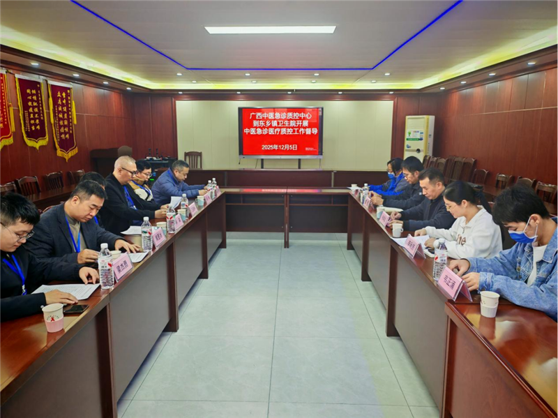 在东乡镇卫生院督导工作座谈会