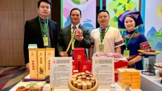 附属国际壮医医院亮相“智游广西、康养福地”广西（澳门）推介会