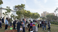 附属国际壮医医院机关党总支开展“党建引领添新绿，我为院区添光彩”主题党日活动