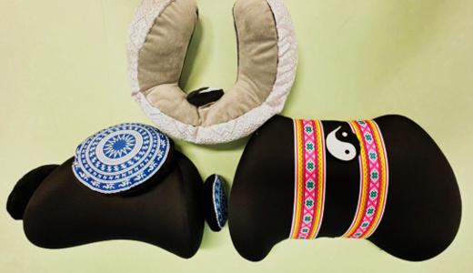 喜报！国壮在2025年广西中医药（壮瑶医药）文化创意大赛中斩获两项佳绩