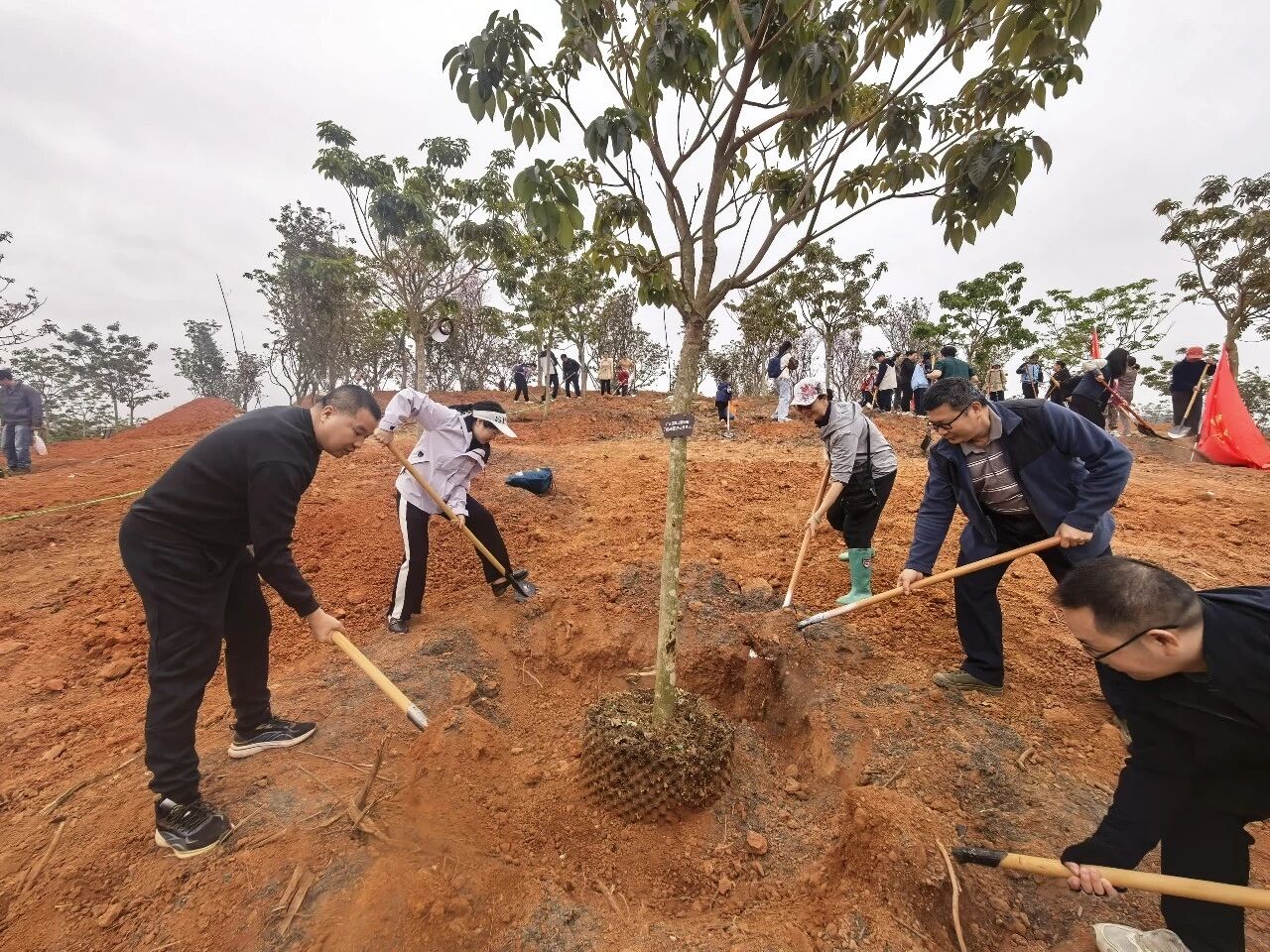 微信图片_2026-04-02_085853_649