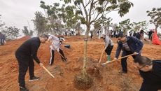 附属国际壮医医院党员到青秀山开展植树活动