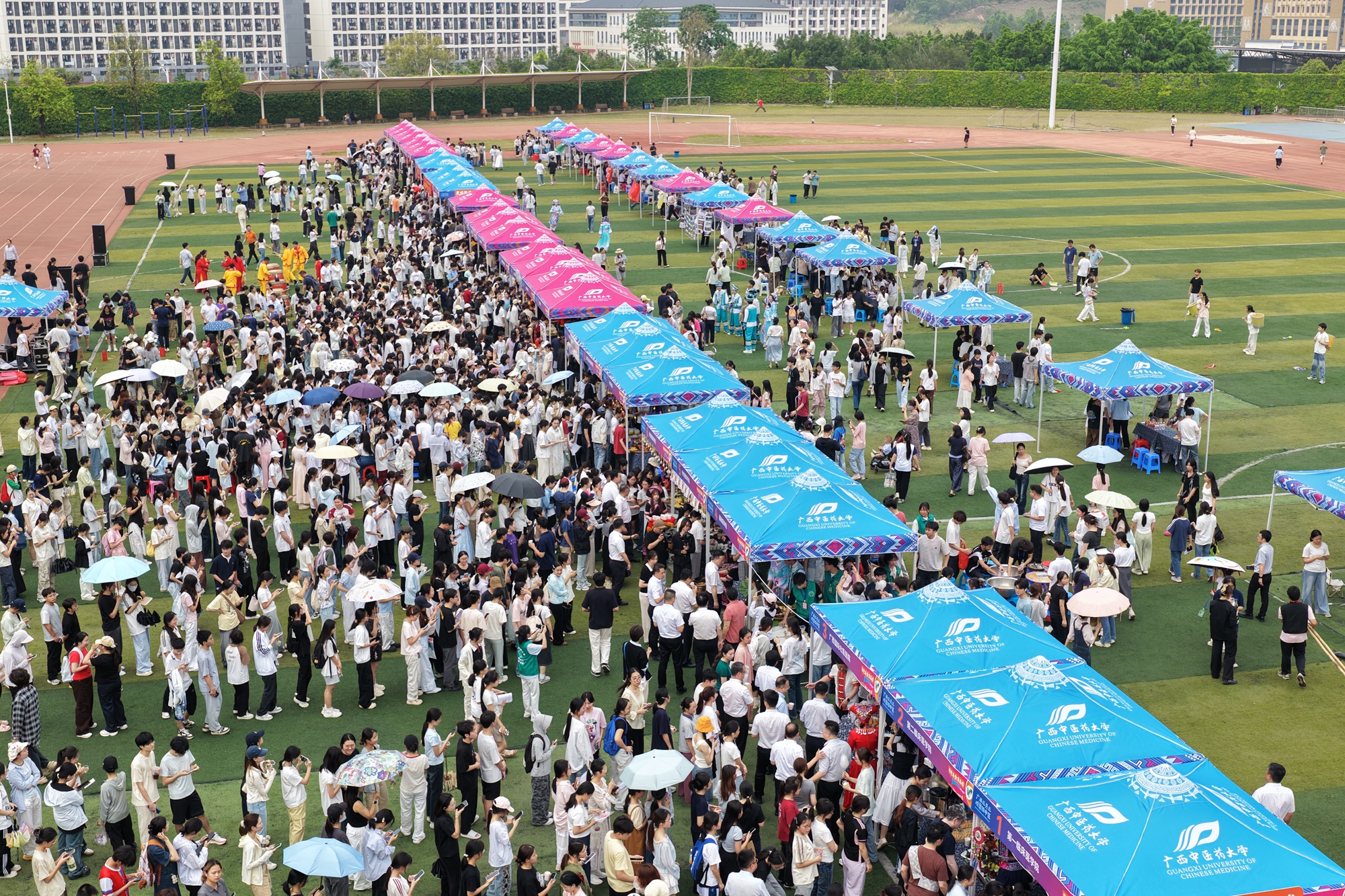 82db1d062e311b1c3d0e0f9aab6c8eed