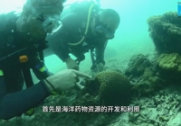 【新华网】广西中医药大学深耕北部湾“蓝色药库”