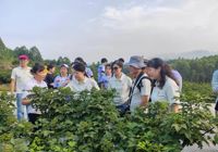 【中国中医药网】广西中医药大学药学院炮制药事中化党支部：建强桂药先锋阵地